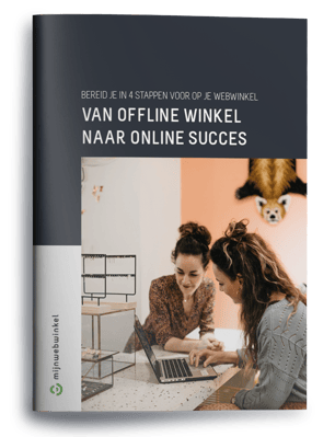 Gids van offline winkel naar online succes